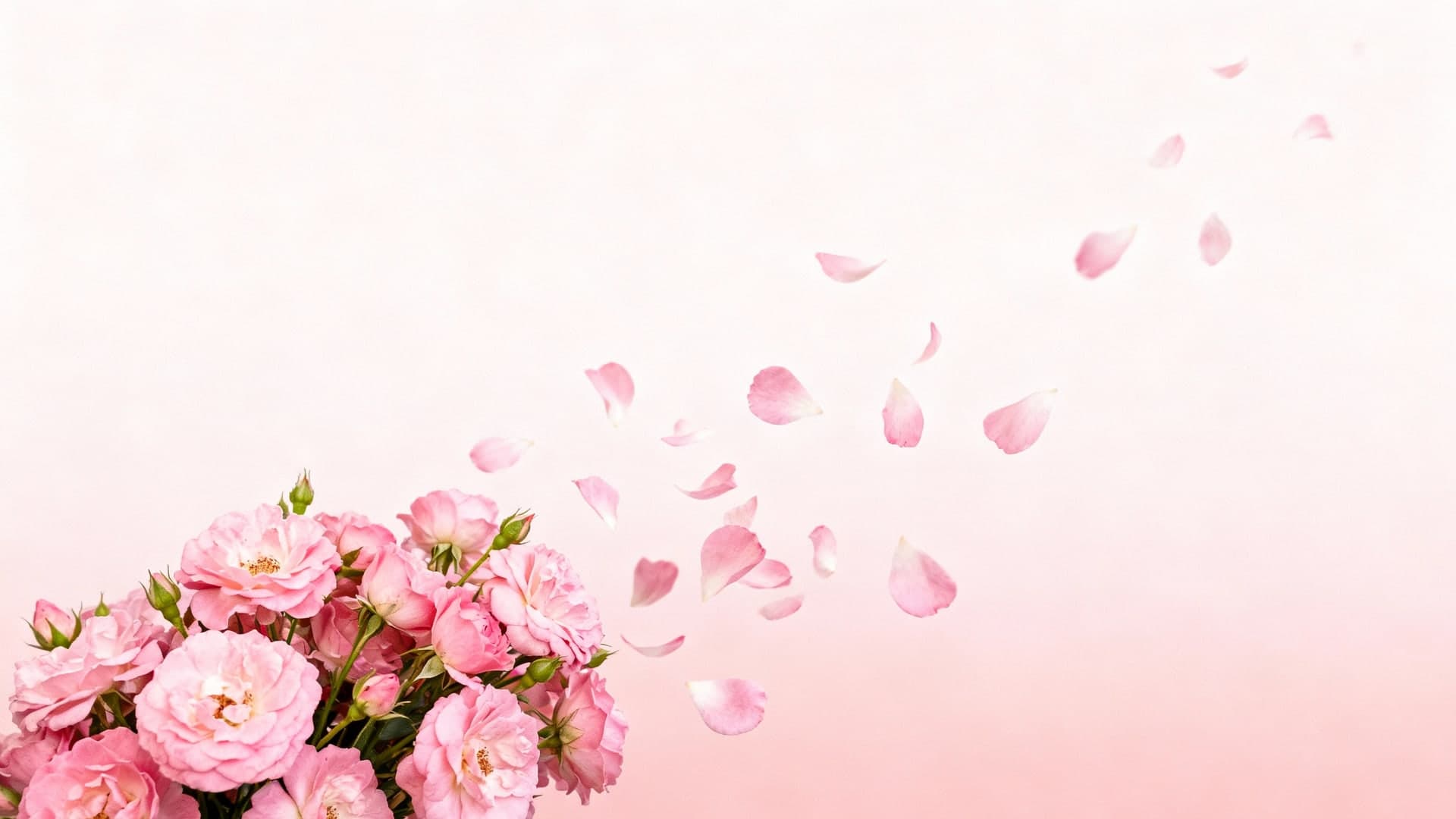 pink floral bouquet scattered diagonally across the frame, petals floating, soft blush gradient background, subtle grain, 16:9, no mockup, no device frame, no ui, no text, no watermark, no status bar, no bezel, no phone screen, no clock, no icons, no notch, plain wallpaper, clean background