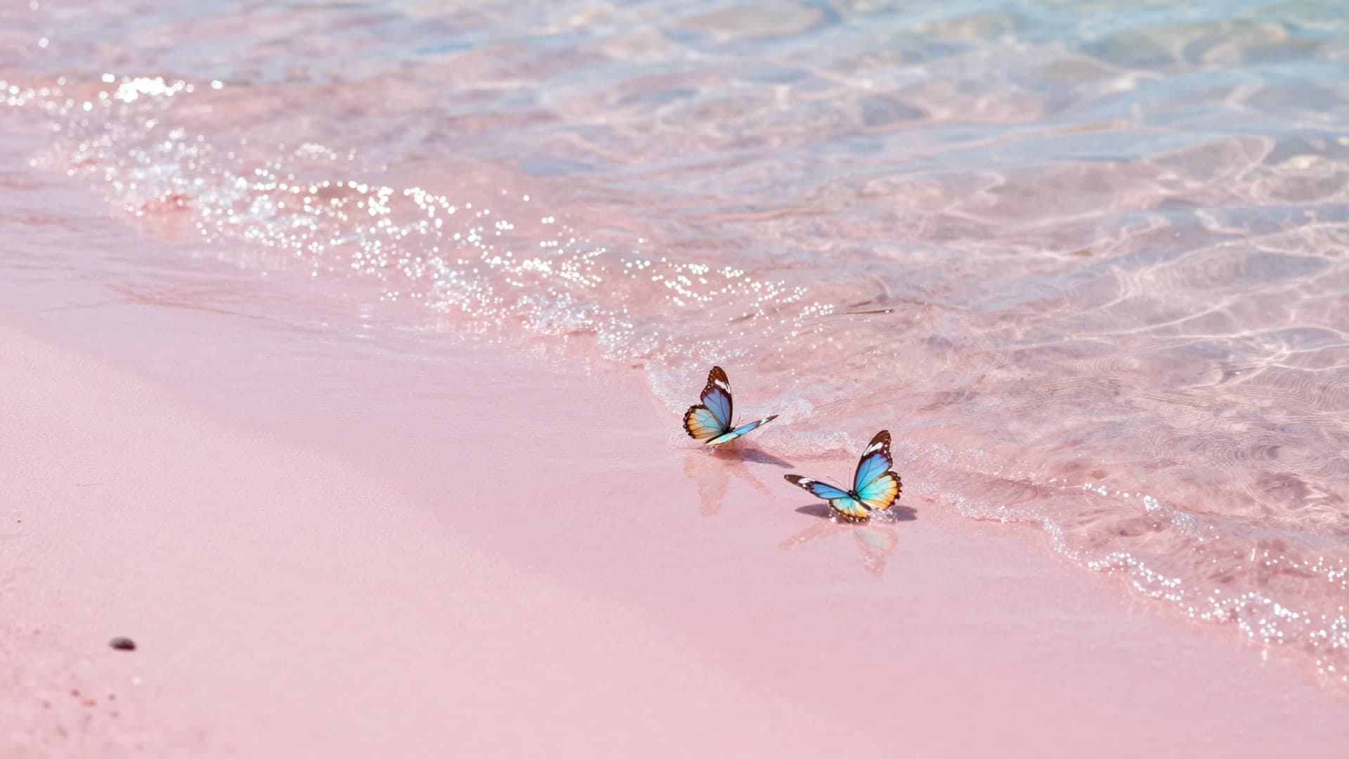 Butterflies resting on a soft pink shoreline with gentle sparkling waves.