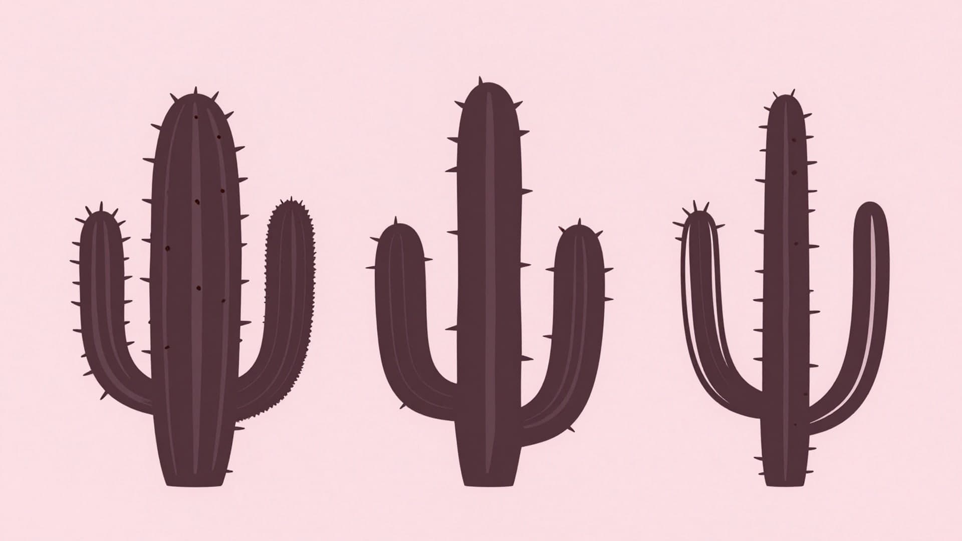 Minimal cactus silhouettes casting long shadows on a pink surface.